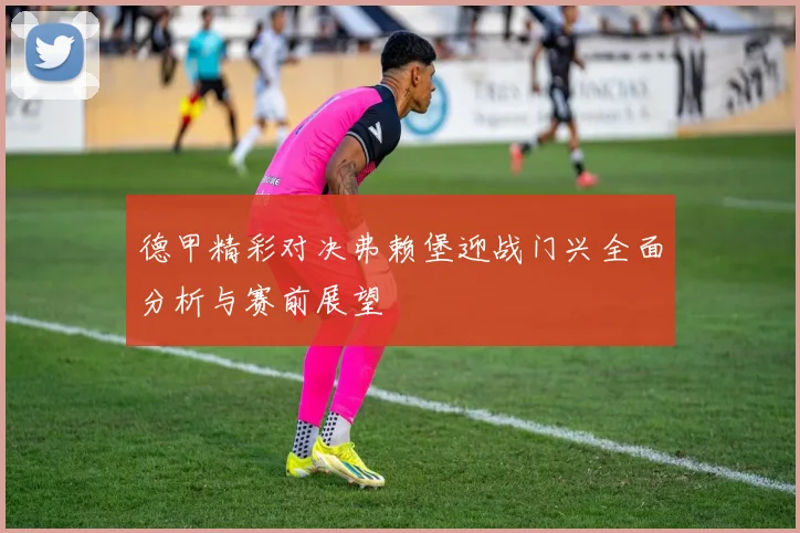 德甲精彩对决弗赖堡迎战门兴全面分析与赛前展望