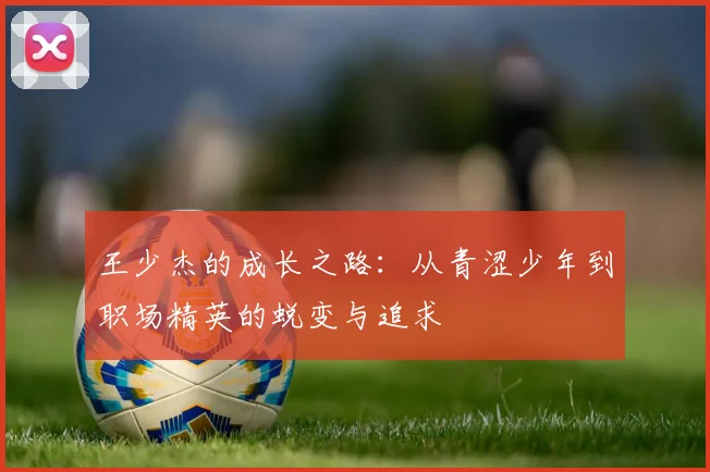 王少杰的成长之路：从青涩少年到职场精英的蜕变与追求