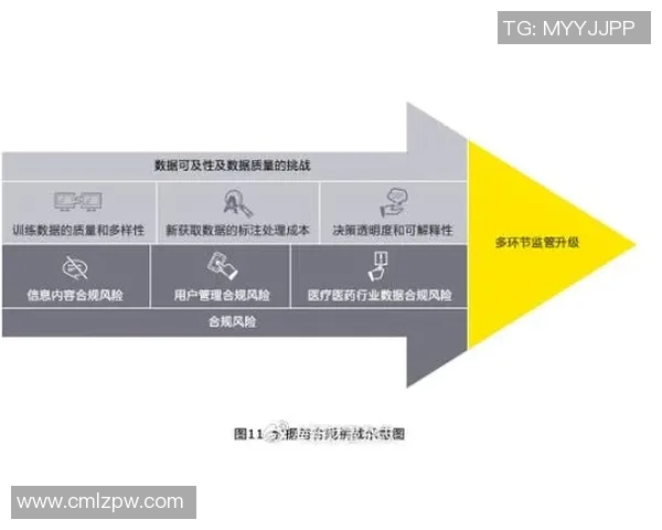 赖斯的外交策略与全球影响力分析：从历史到未来的深度解读